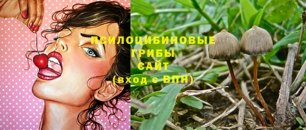 спиды Михайловск