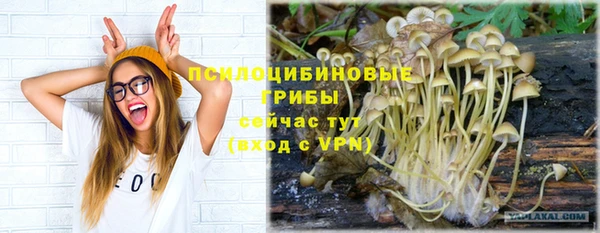 мдма Горнозаводск