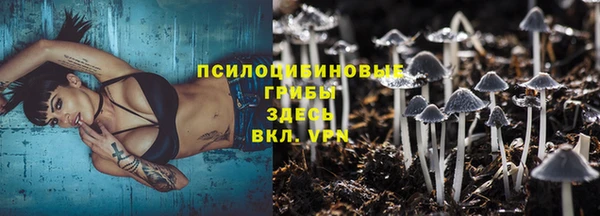 спиды Михайловск